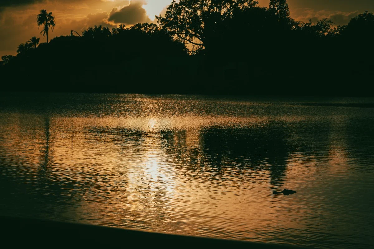 Kissimmee